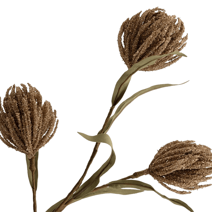 Protea Stem Brown
