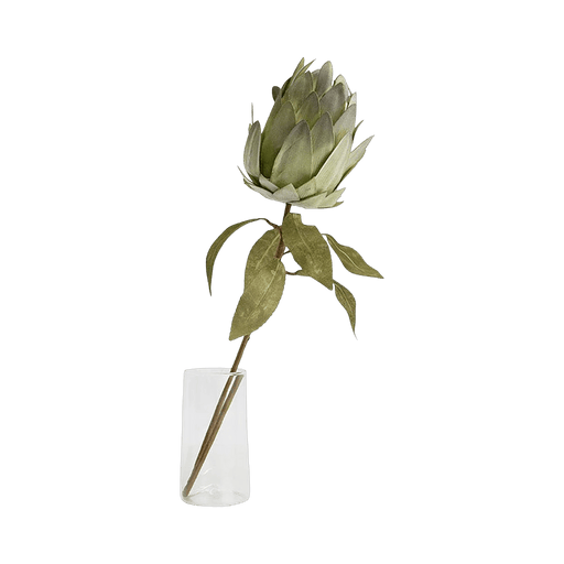 Protea Stem - Green - Setinone.ae
