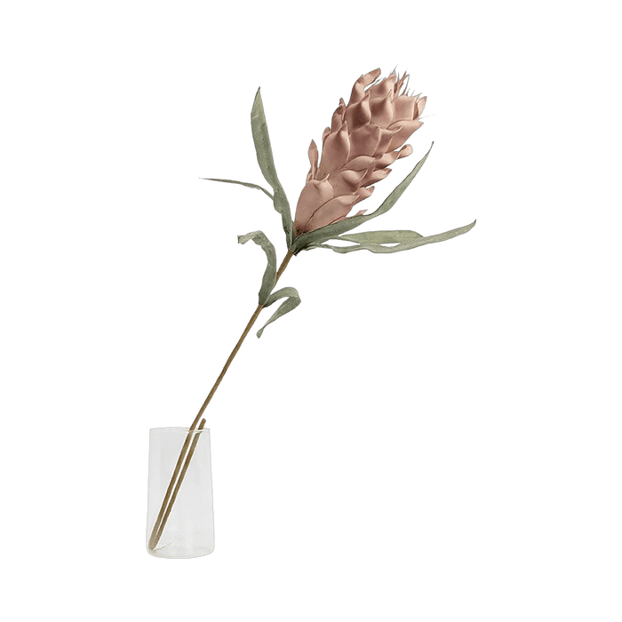 Protea Stem - Pink