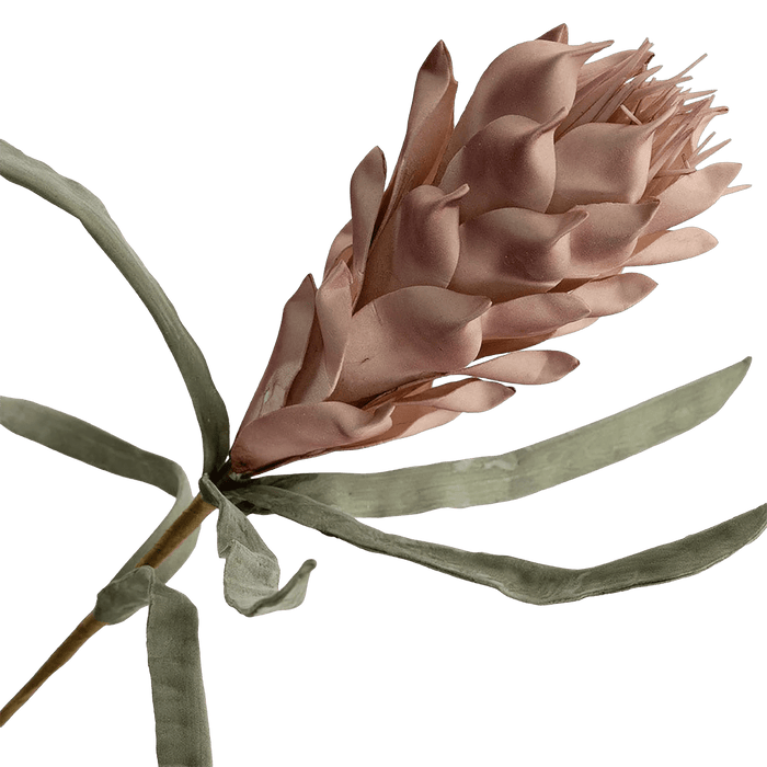 Protea Stem - Pink