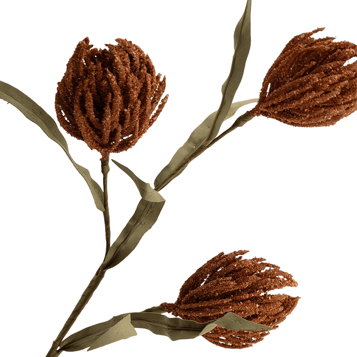 Protea Stem Terracotta
