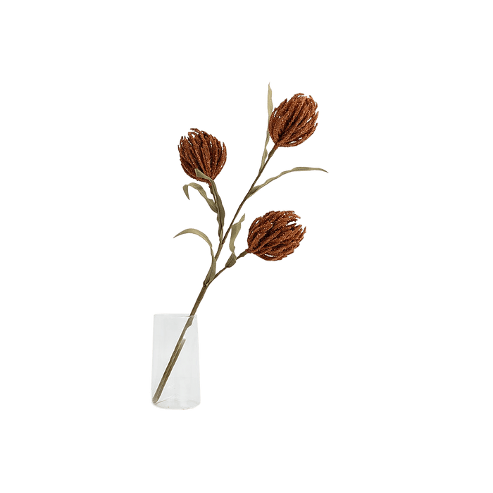 Protea Stem Terracotta