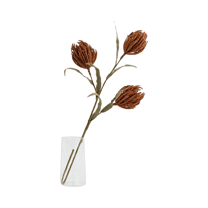 Protea Stem Terracotta - Setinone.ae