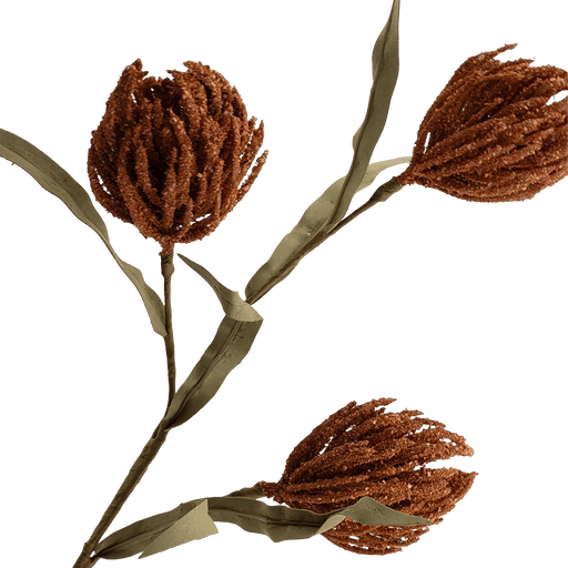 Protea Stem Terracotta - Setinone.ae