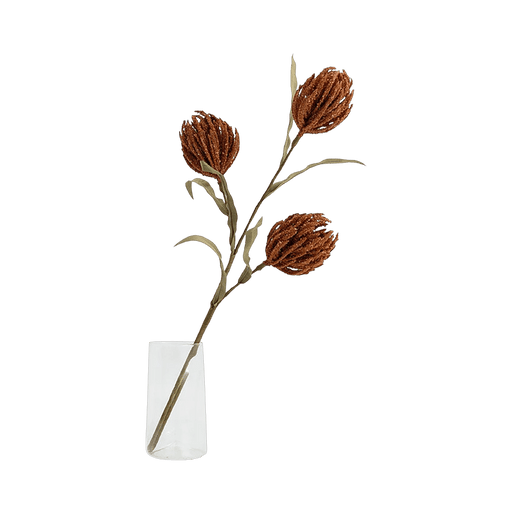 Protea Stem Terracotta - Setinone.ae