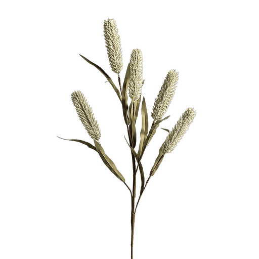 Rice Branch Beige - Setinone.ae