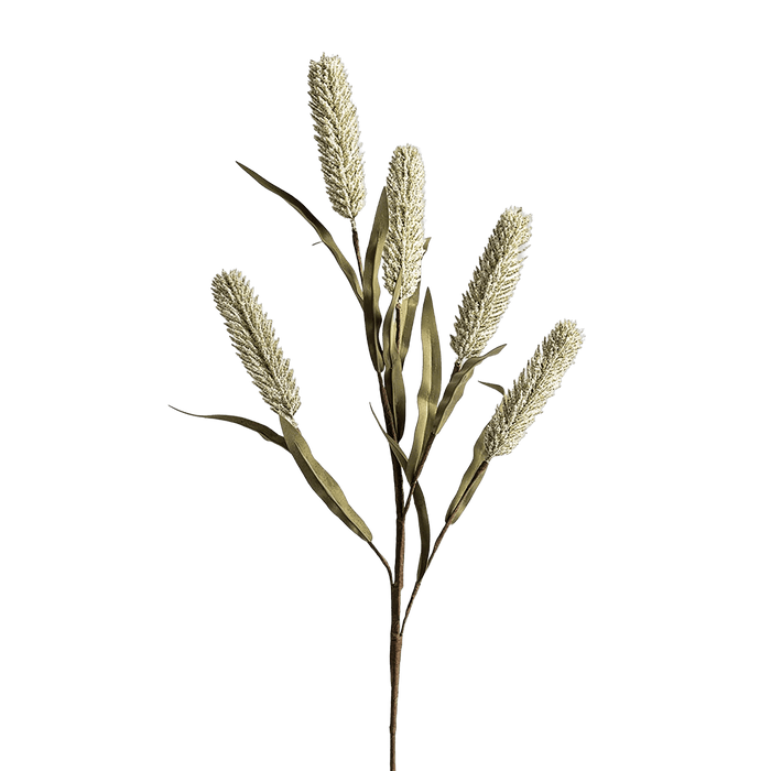 Rice Branch Beige - Setinone.ae