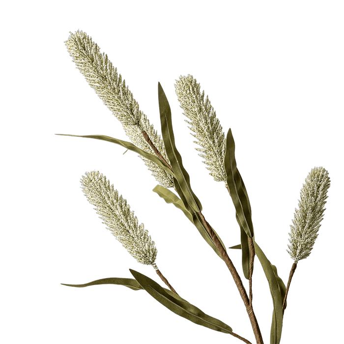 Rice Branch Beige - Setinone.ae