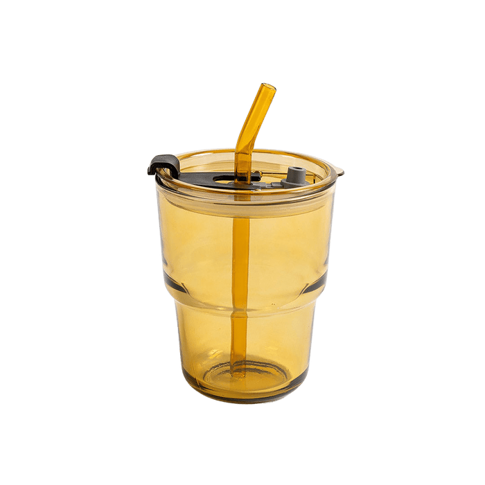 Roien Glass W/lid 450ml