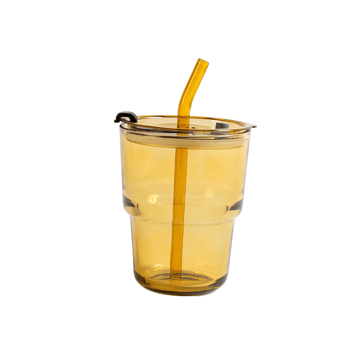 Roien Glass W/lid 450ml