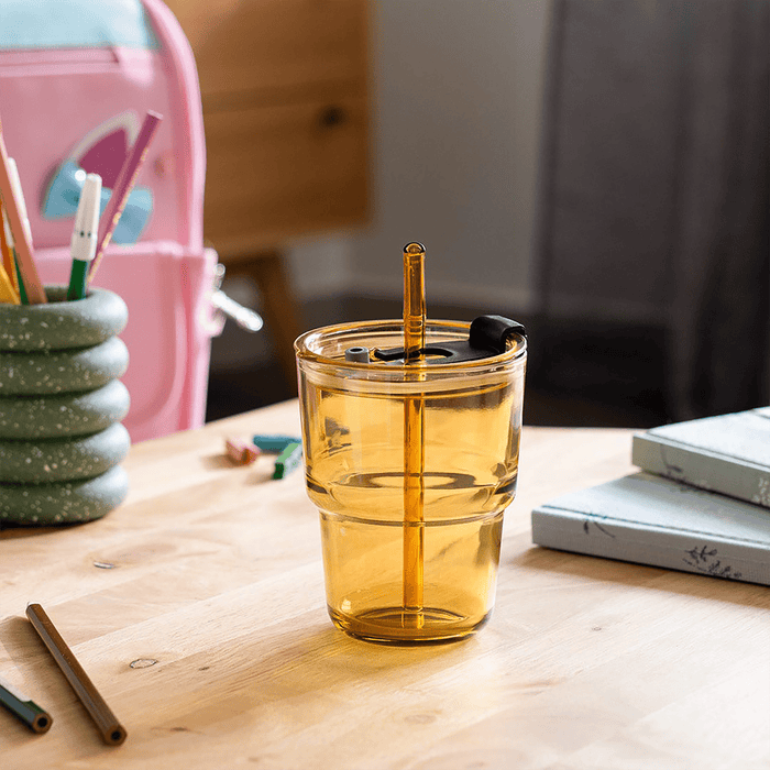 Roien Glass W/lid 450ml