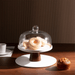 Welian Cake Case OC Home