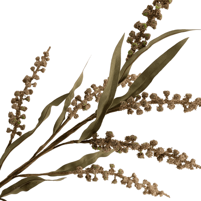 Wild Flower Stem Brown