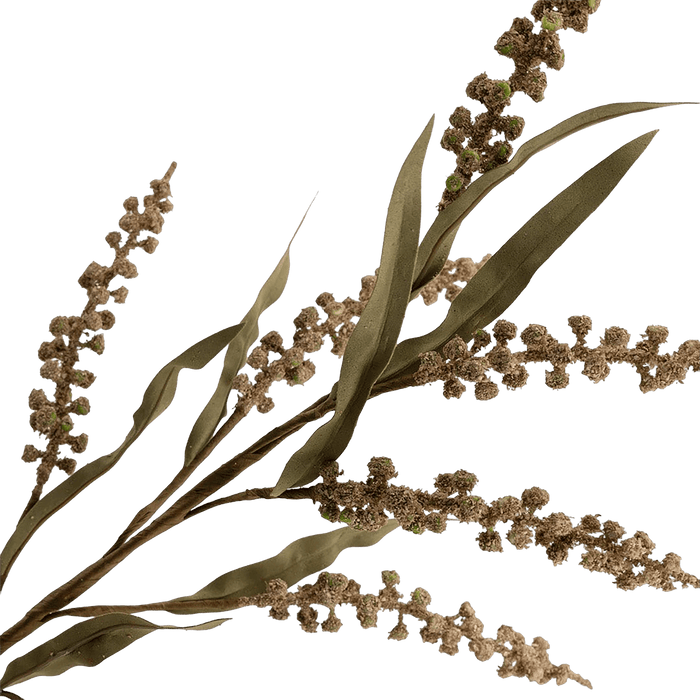 Wild Flower Stem Brown