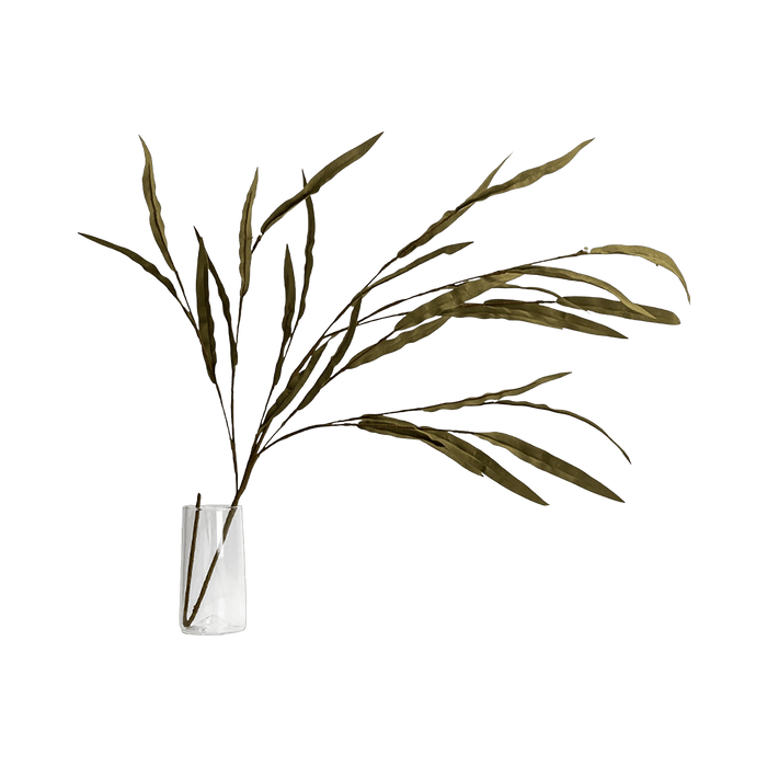 Willow Leaves Green