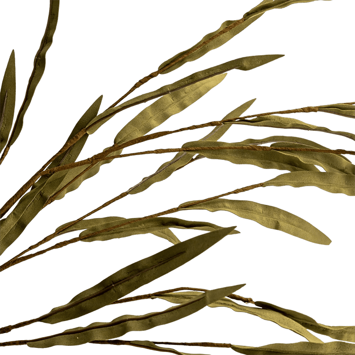 Willow Leaves Green