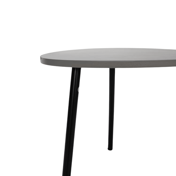 Borrego End Table Set Of 2 Wood