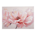Calla Hand Painted Canvas Wall Art - Pink Pan Home