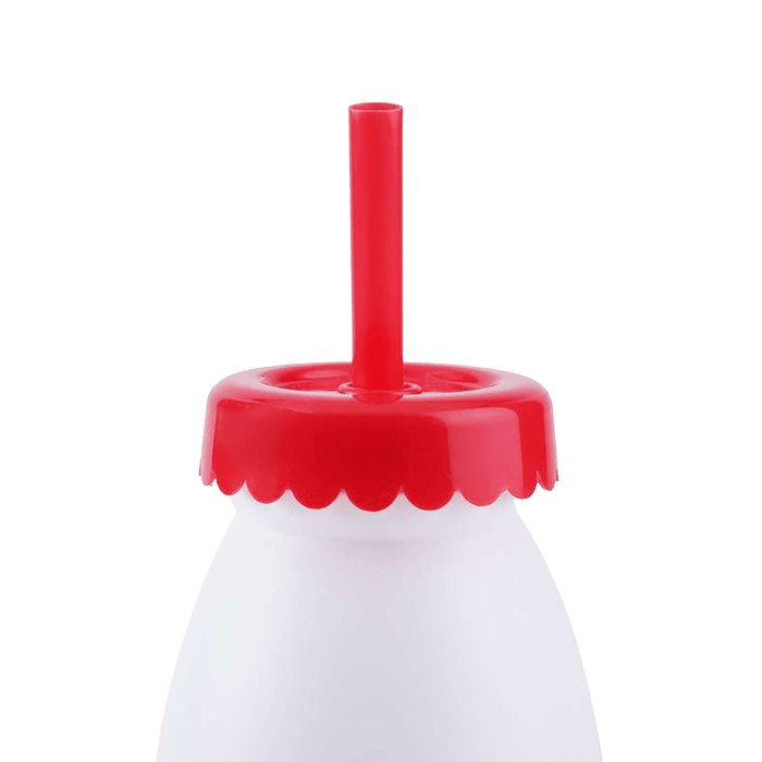 Dorin Bottle With Straw 400Ml - Red