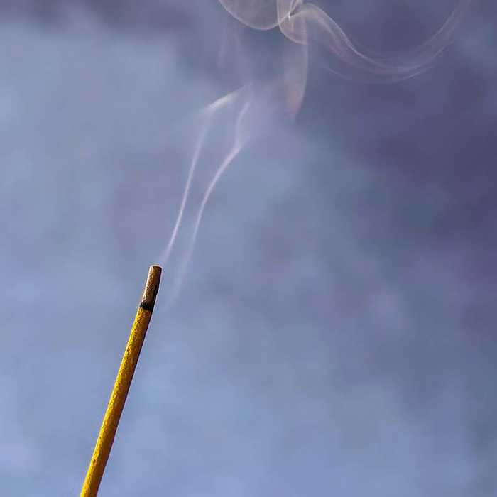 Euphoria Pomegranate Noir 30-Incense Sticks-Pink
