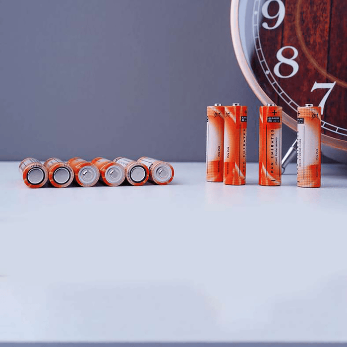 Pan 10-Pieces Alkaline Battery Aa