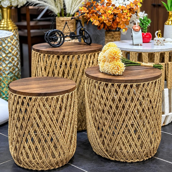 Casa Woven Storage Basket Set of 3 with Lid