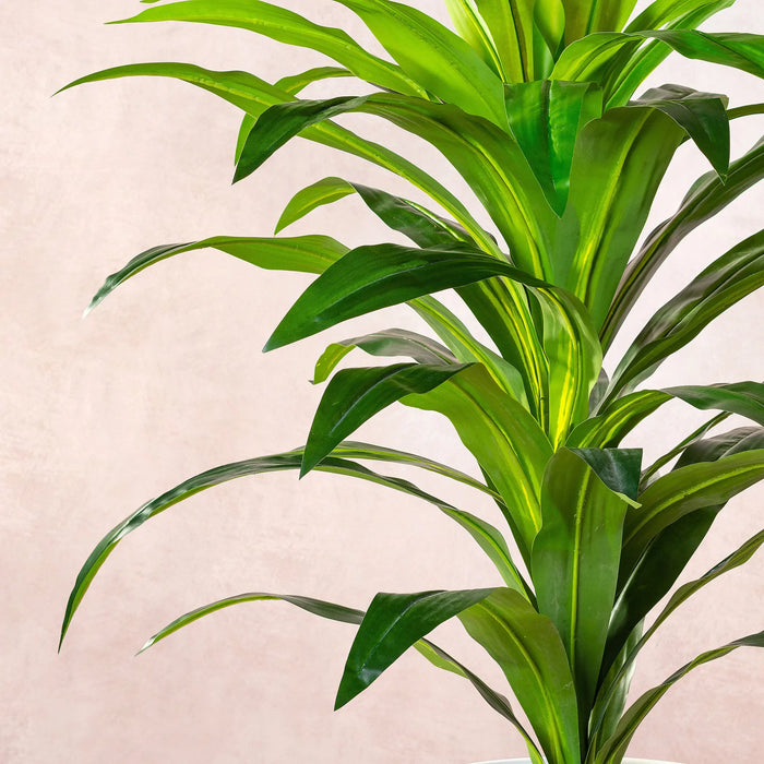 Artificial  Dracaena Fragrans Tree 100cm (W/O pot)