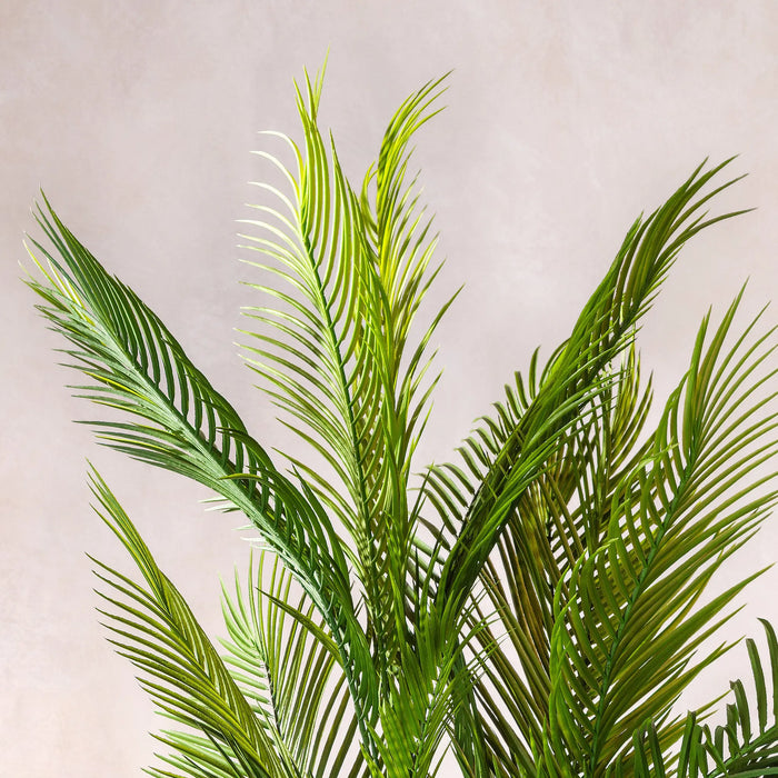 Artificial Areca Palm Tree 180cm - Tanned Cane (W/O pot)