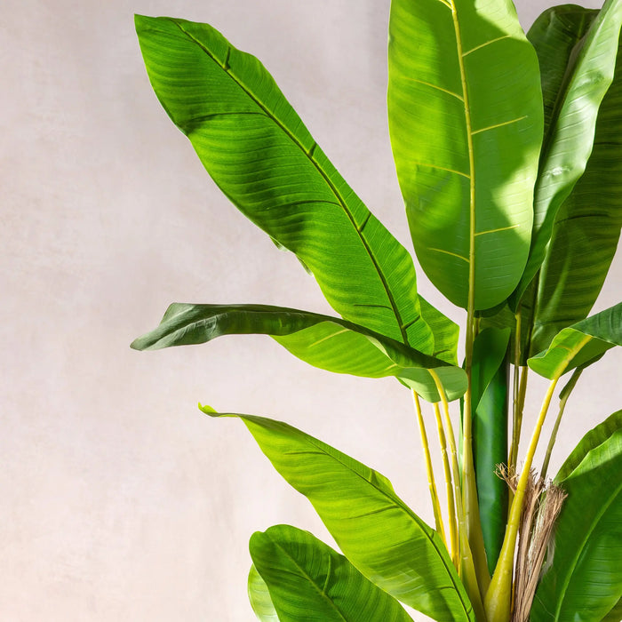 Artificial Banana Tree  (W/O pot)