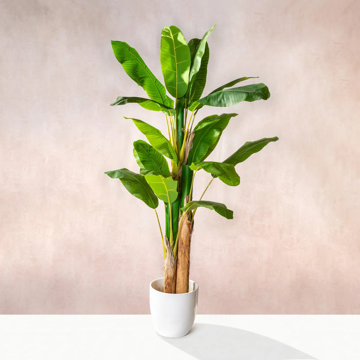 Artificial Banana Tree  (W/O pot)