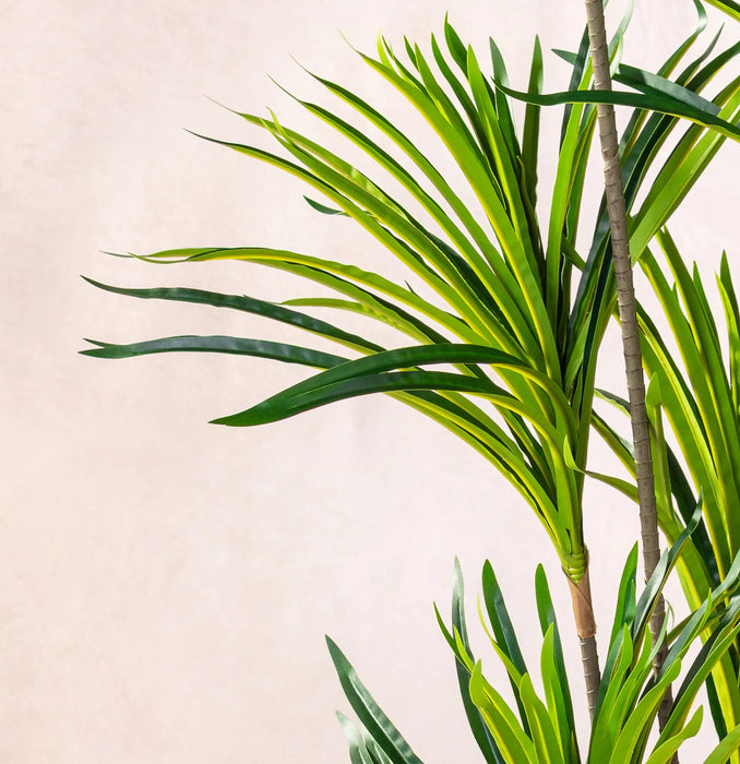 Artificial Dracaena Marginata Tree 150cm (W/O) pot