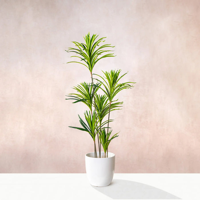 Artificial Dracaena Marginata Tree 150cm (W/O) pot