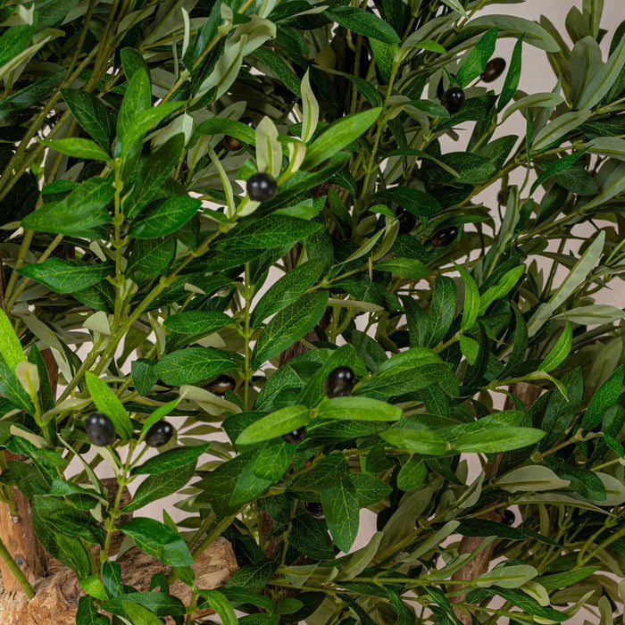 Artificial Olive Tree Natural Coffee Trunk (W/O pot)