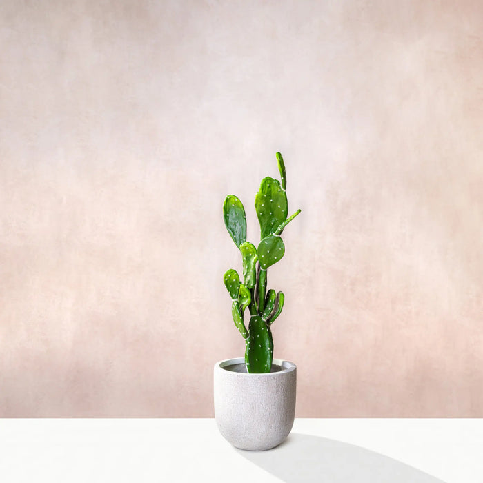 Artificial Opuntia Cactus 90cm (W/O Pot)