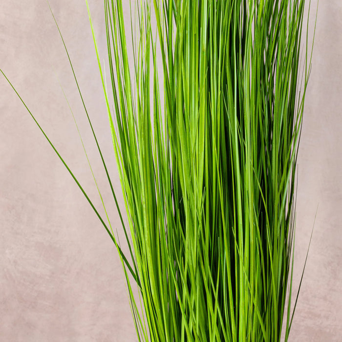 Artificial White Pampas Grass 150cm (W/O pot)