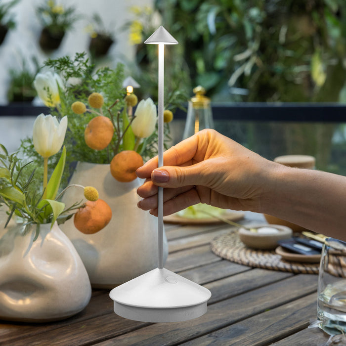 Hand holding a white outdoor lamp on a wooden table with plants and flowers in the background