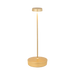 Gold table lamp on a green background