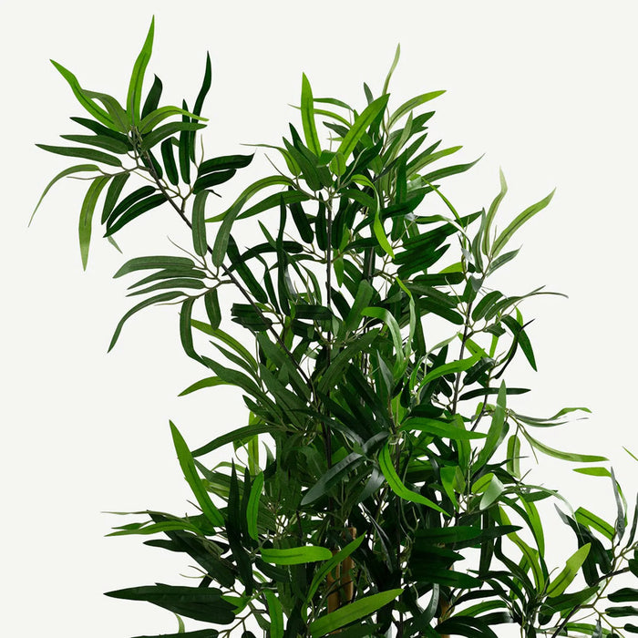 Bamboo Tree With Pot- 182cm