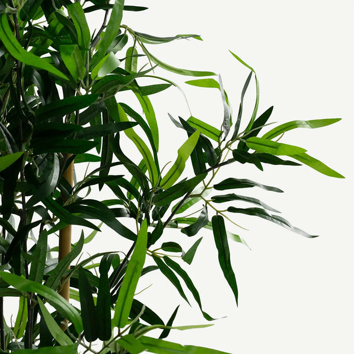 Bamboo Tree With Pot- 182cm