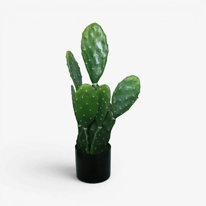 Cactus Plant With Pot - 62cm