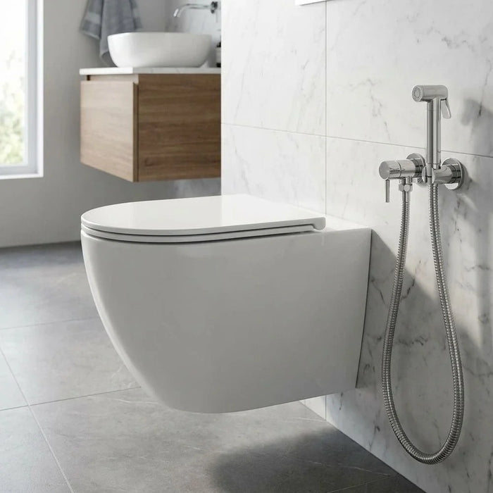 Milano Rimless Wc Wall Hung Model 99046-Made In China
