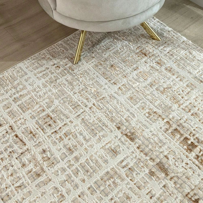 Harmony Modern Distressed Rugs 240X340 Brown