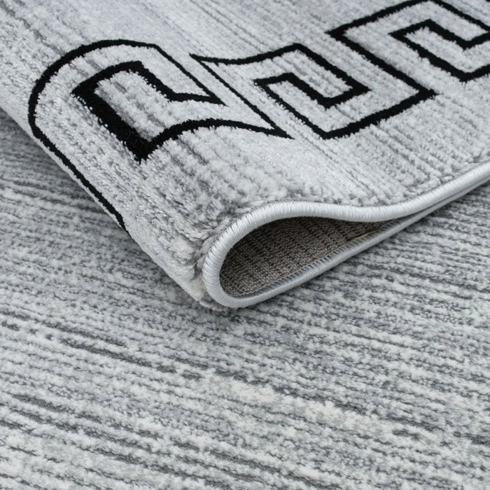 Harmony  Contemperory Rugs 240X340 Grey