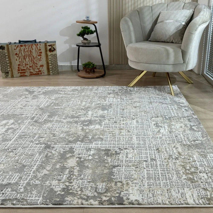 Urbana Modern  Distressed Rugs 200X300 Grey