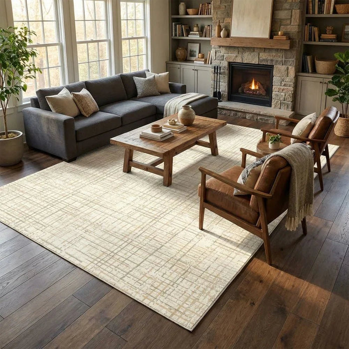 Harmony Distressed Modern Rug 200 x 300 - Beige
