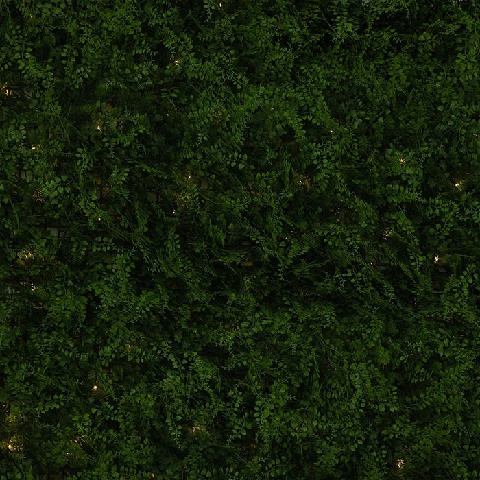 Artificial Fence-Fern-With Led Solar Light-100 x 100Cm