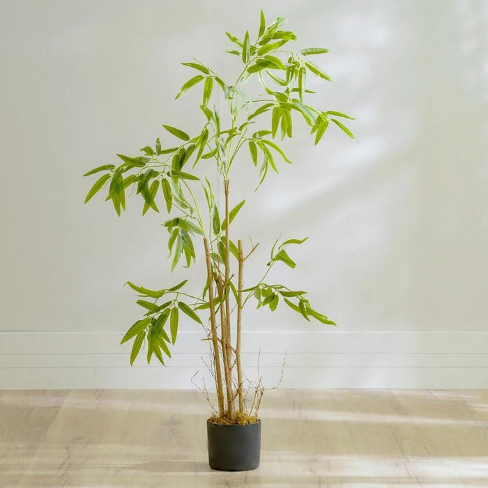 Nature Bamboo Plant-120 CM