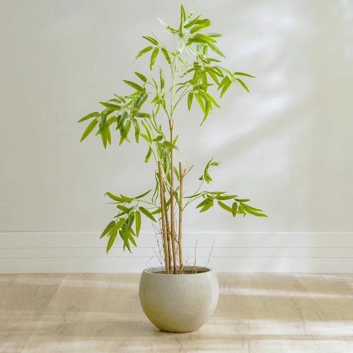 Nature Bamboo Plant-120 CM