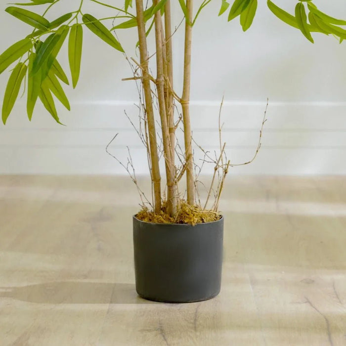 Nature Bamboo Plant-120 CM