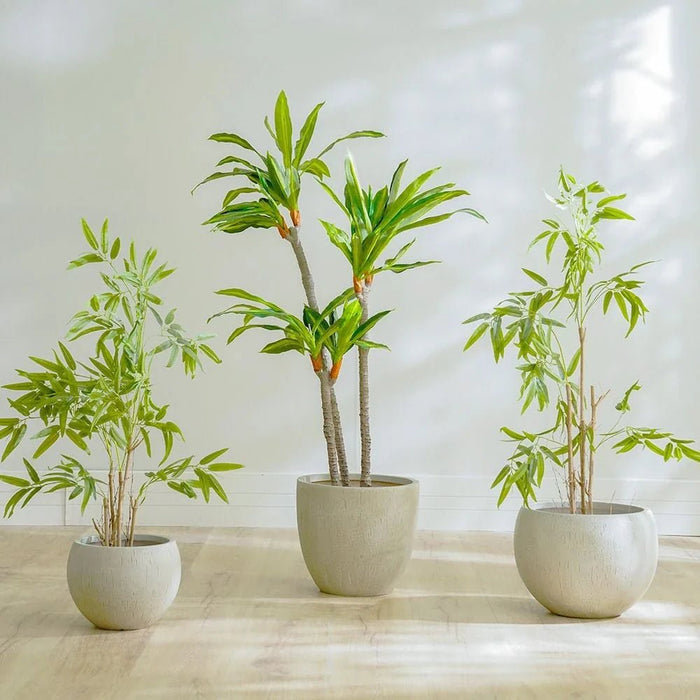 Nature Bamboo Plant-120 CM